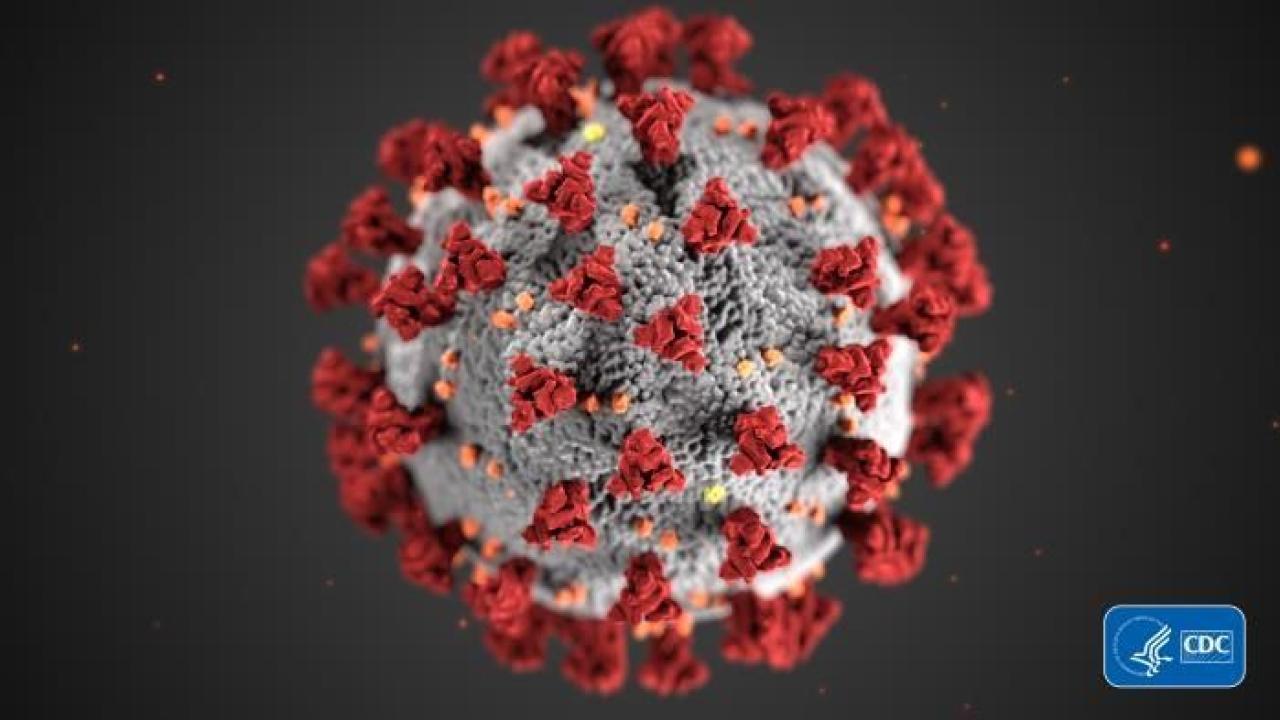covid virus itself