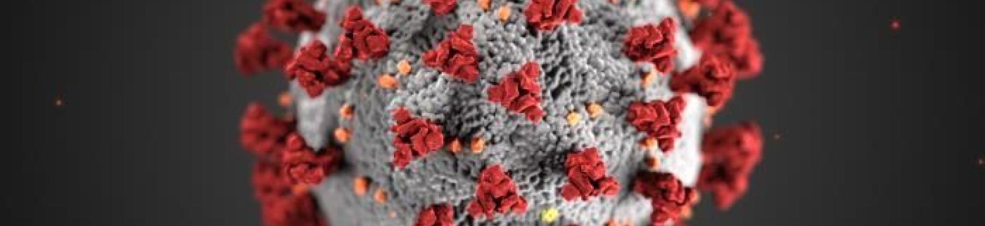 covid virus itself