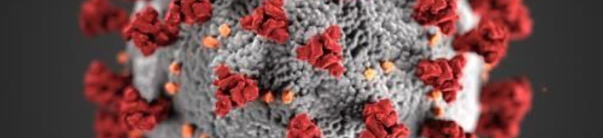 Coronavirus